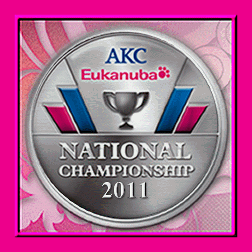 Inuk takes Best of Breed at 2011 Eukanuba Invitational... animated graphic by PSSWebDezinez.